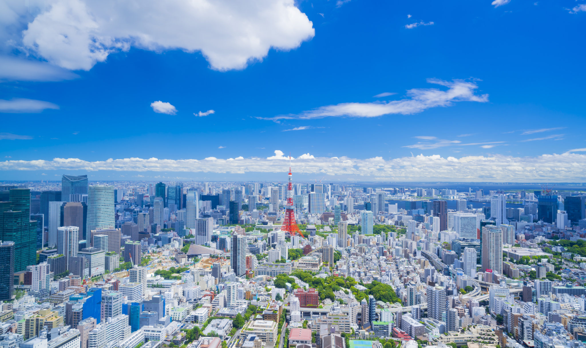 春の東京の青空の画像